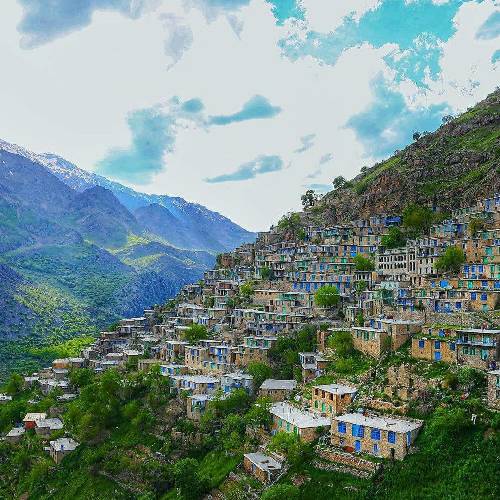 پرستو کارزان بینو بینو